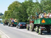 wito Matki Boskiej Zielnej w Skowej