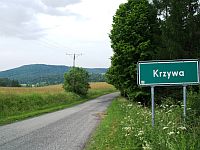 Krzywa  