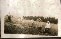 S�kowa - Ko�leniec prace polowe w latach 20-tych.