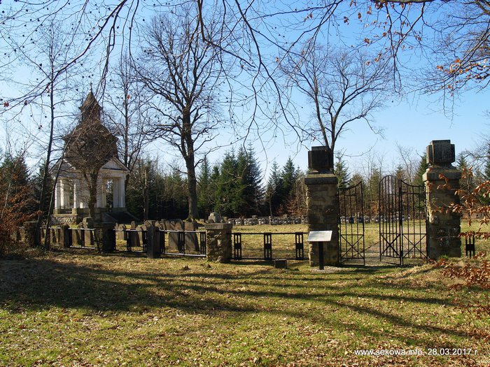 Cmentarz nr 192 w Lubczy Szczepanowskiej - marzec 2017 r.